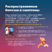 ЖКТ3