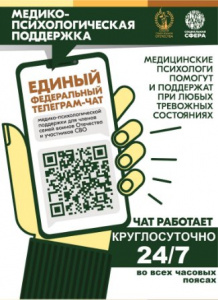 Продолжает свою работу единый федеральный чат Комитета семей воинов Отечества по оказанию медико-психологической поддержки семьям и участникам специальной военной операции (СВО) в круглосуточном режиме