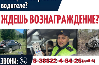 За пьяных и скрывшихся водителей в Республике Алтай теперь можно получить 5000 рублей