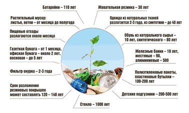 Cколько лет живут отходы