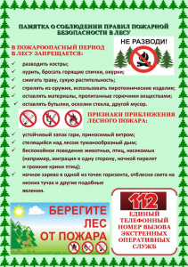 Правила безопасного поведения