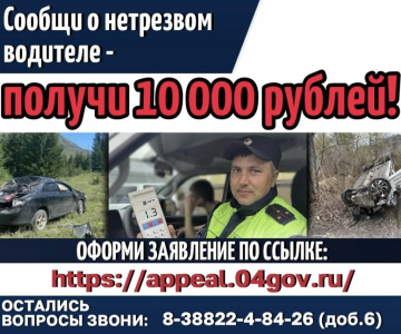 В Республике Алтай ввели вознаграждение за информацию о пьяных за рулем