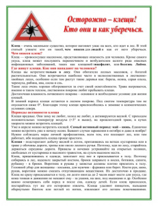 Сезон клещей начался: как защититься от опасных укусов