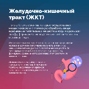 ЖКТ2