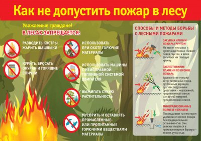 Памятки для безопасного летнего отдыха: вода, солнце, лес